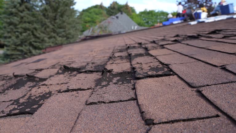 Best Storm Damage Roof Repair  in Oak Grove, MN