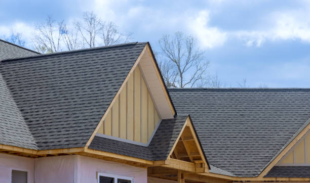 Best Rubber Roofing (EPDM, TPO)  in Oak Grove, MN