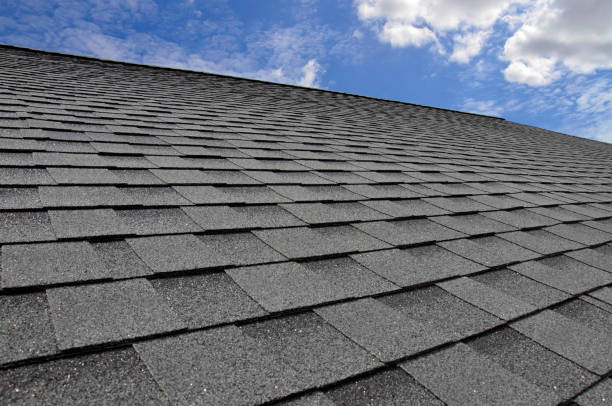 Best Wood Shake Roofing  in Oak Grove, MN
