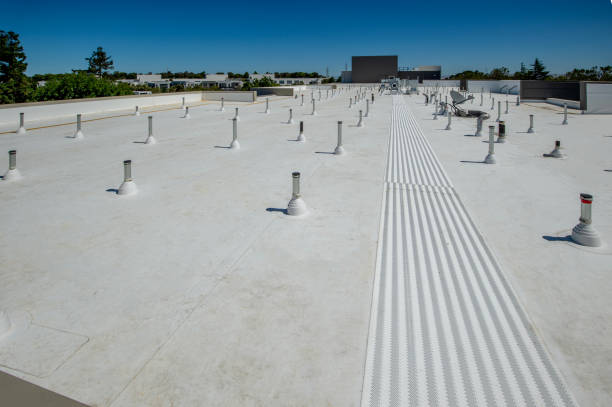 Best Asphalt Shingle Roofing  in Oak Grove, MN